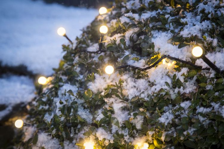 Konstsmide Weihnachtsbeleuchtung  LED Lichterkette runde 80 warmweiße Dioden