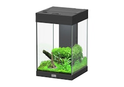 Aquatlantis Aqua Tower 43 Aquarium-Set