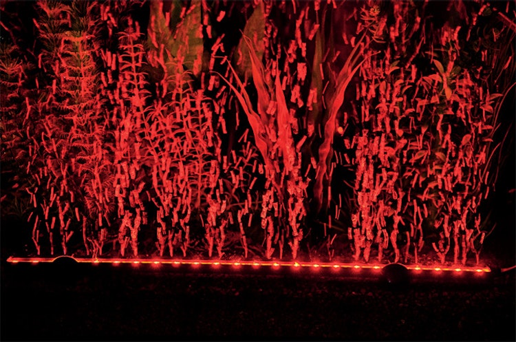 HOBBY Bubble Air LED colour & moon Aquarienbeleuchtung