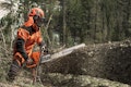 HÃÂ¶here Schnittleistung