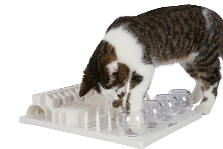 TRIXIE Cat Activity Fun Board 30×40cm weiß