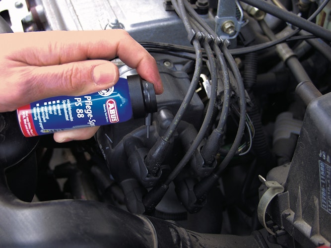 ABUS Pflegespray PS88 SB