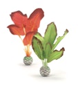 Vorschaubild biOrb Seidenpflanzen Set klein grün und rot (46099)