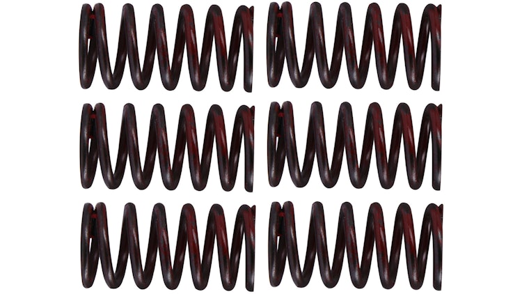 TRW Kupplungsfedernsatz MEF320-6