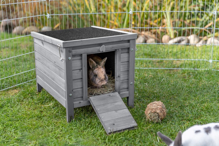 Kleintierhaus, 42 × 43 × 51 cm, grau