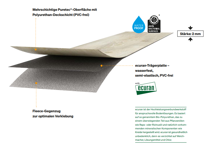 Meister_2023_design_neu_pro