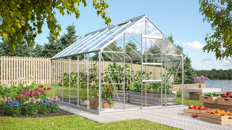 Vitavia Gewächshaus Merkur 9900 inkl. 2 Dachfenstern - 9,9 m²