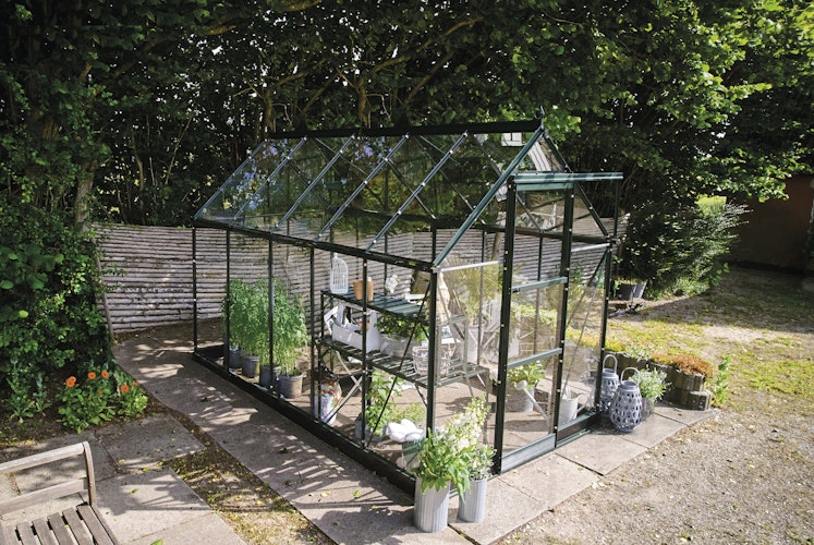 Halls Gewächshaus Icon 6 - 2,5 m² / 3,7 m² / 4,9 m² / 6,1 m²