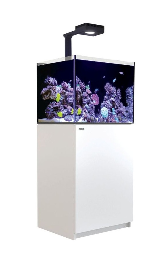 Red Sea REEFER™ 170 G3 Deluxe - Weiss (inklusive 1 X RL115 & Montagearm)