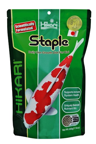 Hikari Staple Mini Koifutter