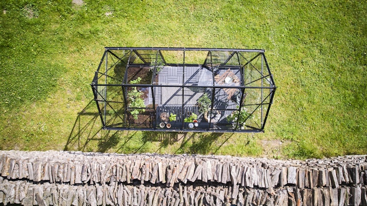 Halls Gewächshaus Icon Pflanzenhaus 6/8 - 7,3 m² / 9,7 m²