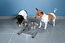 Vorschaubild TRIXIE Hundebar, Edelstahl/Metall, 2 × 0,75 l/ø 17 cm