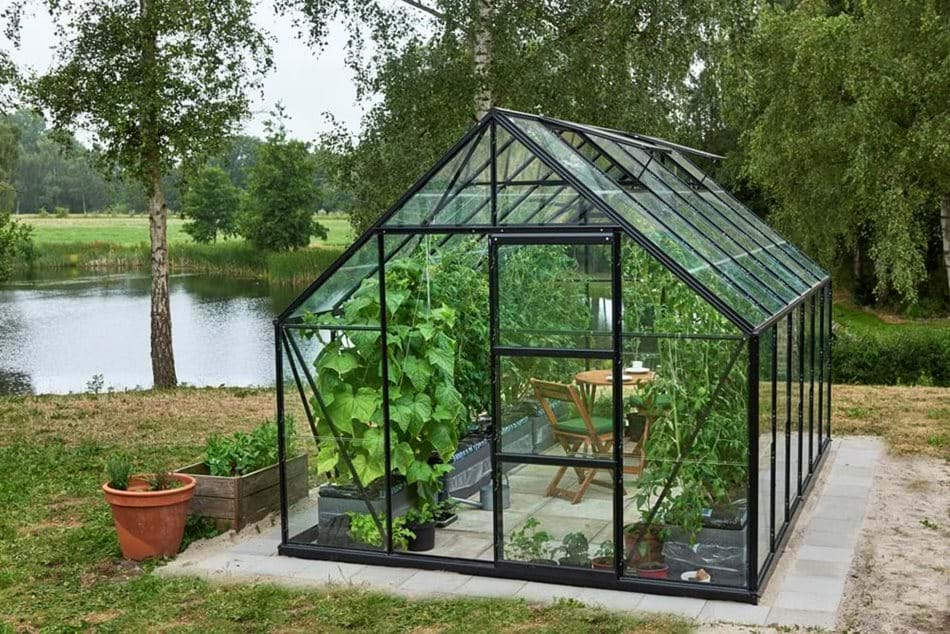 Halls Gewächshaus Universal SET- 9,9 m²  3,84 x 2,57 m - 9,9 m² 3 mm Blankglas schwarz