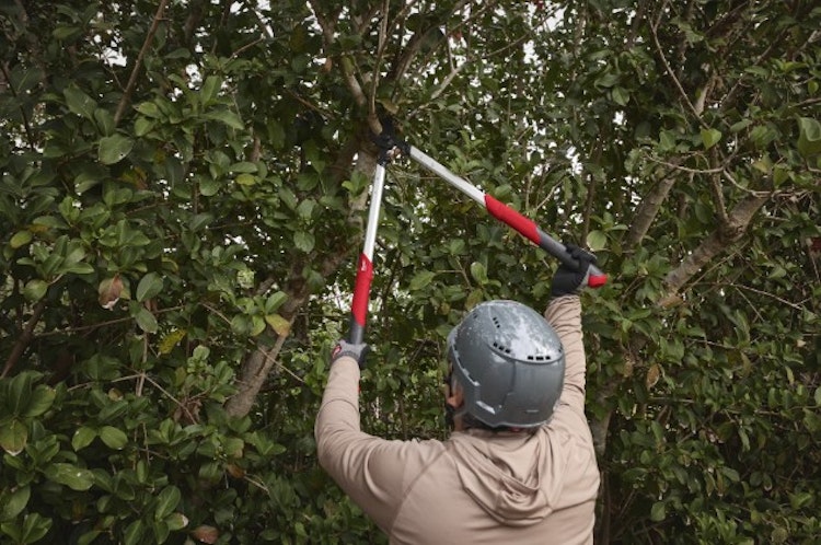 Milwaukee Bypass Astschere 50 mm 4932498625