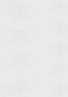 MEISTER Dekorpaneele MeisterPaneele. terra DP 250 20101 White mesh alle Längen