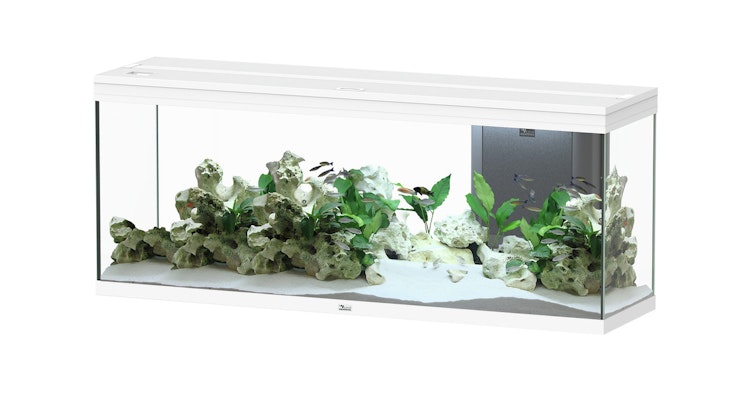 Aquatlantis Splendid 300 Weiß Aquarium-Set