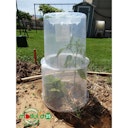 Vorschaubild Noor Pflanzglocke Ø 35 x H30cm inkl. 2 Heringen