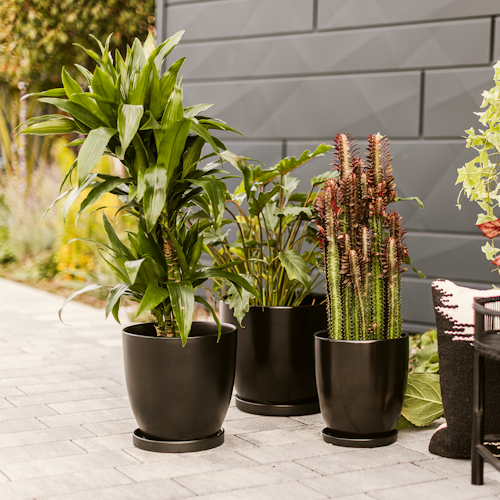 Plant Pot Pamu, schwarz