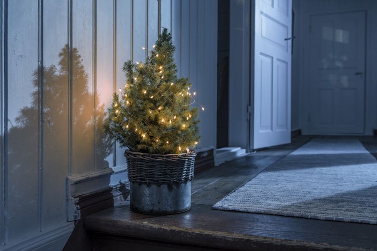 Konstsmide Weihnachtsbeleuchtung  Micro LED Lichterkette Firecracker kupferfarben