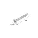 Vorschaubild NewTechWood Edelstahl Schrauben 4,2 x 32 mm inkl. Bit (100 Stk.)