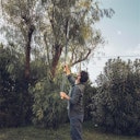 Vorschaubild Fiskars Teleskopschneidgiraffe UPX86 L.240-400 1023624