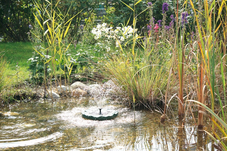 Pontec Solar-Fontäne PondoSolar Lily Island