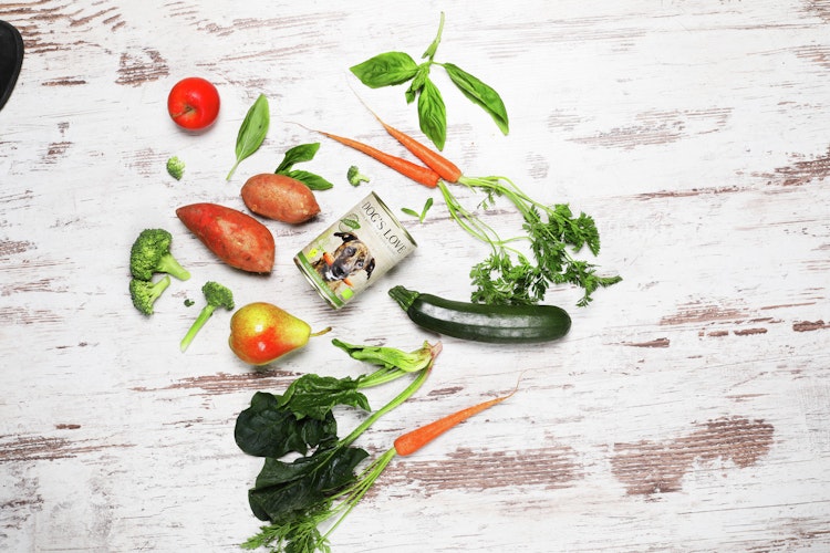 Dog's Love BARF Organics 400g Dose Hundenassfutter