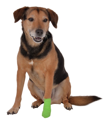 Vetlando Anti-Lick-Bandage Hunde- & Katzenpflegeartikel