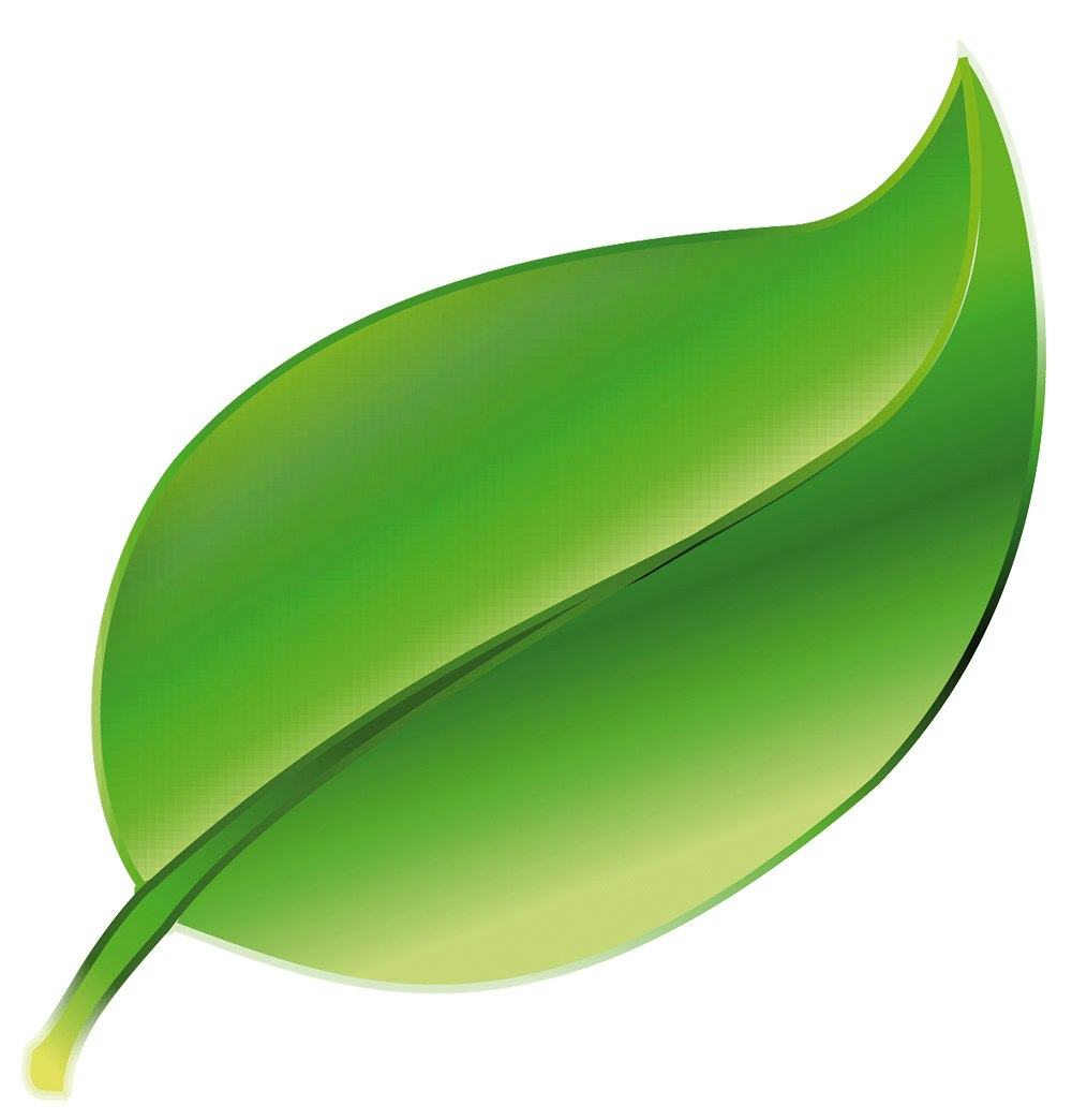 pure_touch_blatt