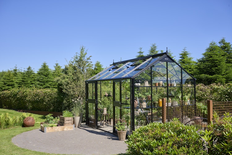 Juliana Gewächshaus Jubii 10,9 m²