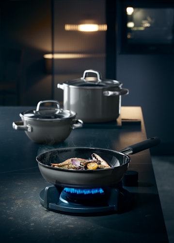 WMF Fusiontec Mineral Fleischtopf mit Glasdeckel, 20 cm, Platinum