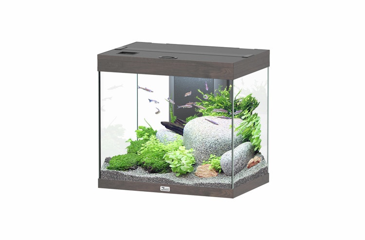 Aquatlantis Splendid 110 Aquarium-Set