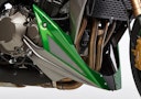 Vorschaubild BODYSTYLE Sportsline Bugspoiler ABS Kunststoff schwarz/grau/grün für KAWASAKI Z1000 R Edition 