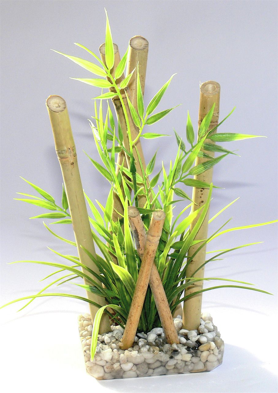 Sydeco Bamboo L 25 Zentimeter Aquariendekoration