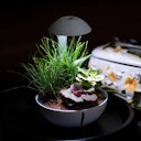 Vorschaubild Chihiros Tiny Terrarium Egg 10 Watt Aquarienbeleuchtung