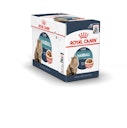 Vorschaubild ROYAL CANIN Feline Hairball Care in Soße P.B. Multipack 12x85g