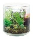 Vorschaubild BiOrb Aquarium TUBE 15 MCR