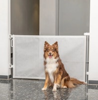 TRIXIE Absperrrollo, ausziehbar, 0–137 × 86 cm