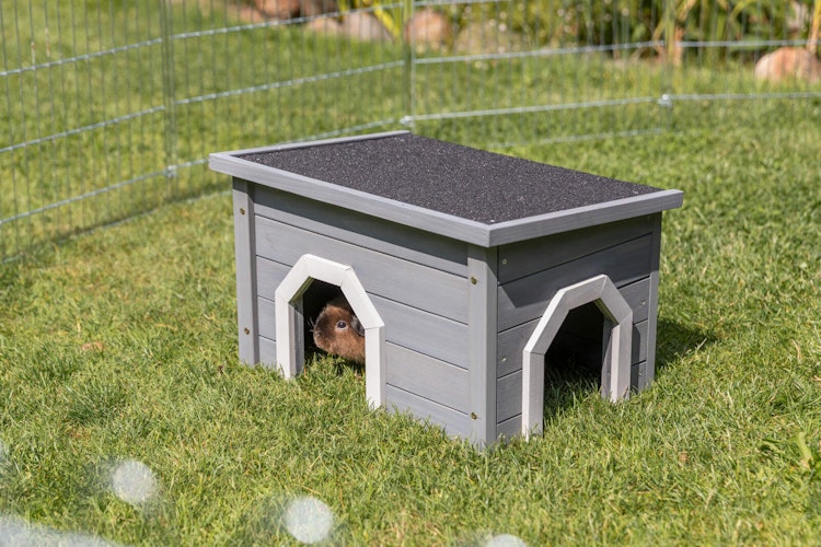 Kleintierhaus, 50 × 30 × 37 cm, grau