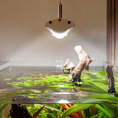 Aquatlantis EasyLED Universal 2.0 deep blue