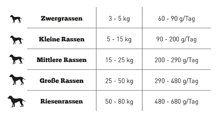 The Goodstuff Senior Light Salmon Hundetrockenfutter