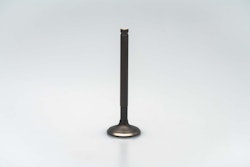 XPEAR Auslassventil YX150 YX160 ZS155