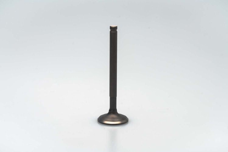 XPEAR Auslassventil YX150 YX160 ZS155