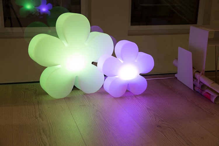 8 seasons design LED-Dekoleuchte Shining Flower (RGB), verschiedene Größen