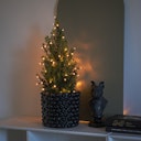 Vorschaubild Konstsmide Weihnachtsbeleuchtung  Micro LED Büschellichterkette 200 Dioden