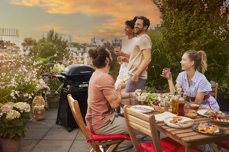 Weber Q2800N+ Gasgrill mit Rollwagen - Black