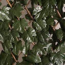 Vorschaubild Noor Rankhecke Weide