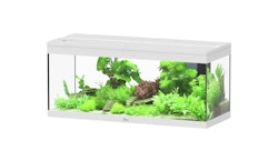 aquatlantis Prestige 100 weiß Aquarienset