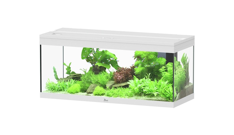 aquatlantis Prestige 100 weiß Aquarienset