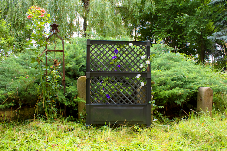 KHW Spalier (2-tlg.) 100 cm mit Erdspieß